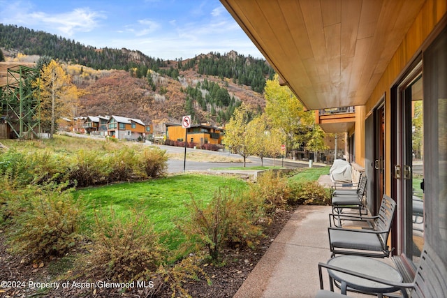 205 E Durant Ave Unit 1C, Aspen, CO 81611 - photo 10