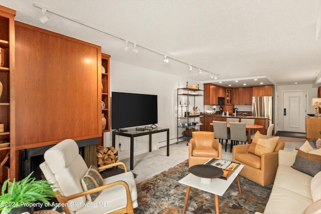 205 E Durant Ave Unit 1C, Aspen, CO 81611 - photo 3