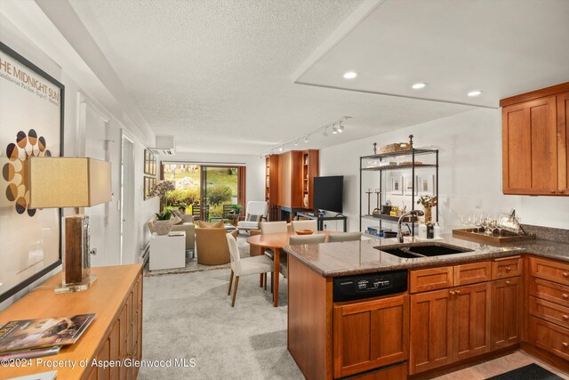 205 E Durant Ave Unit 1C, Aspen, CO 81611 - photo 6