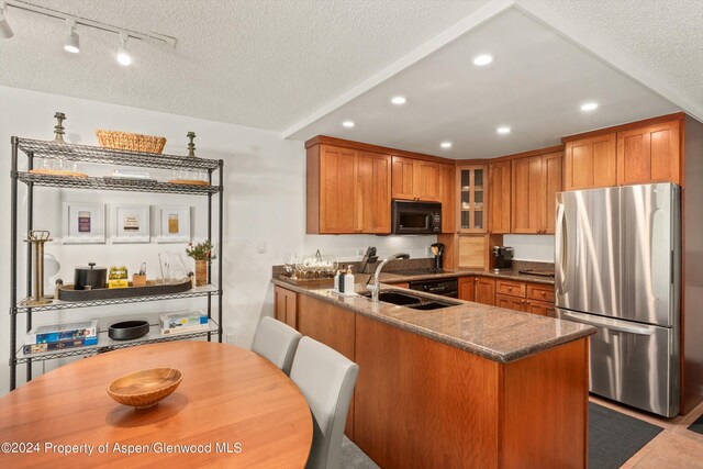 205 E Durant Ave Unit 1C, Aspen, CO 81611 - photo 5