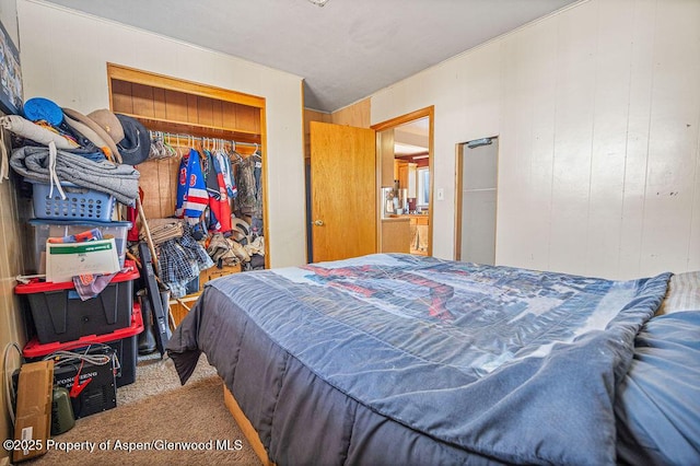 bedroom featuring a closet and carpet flooring