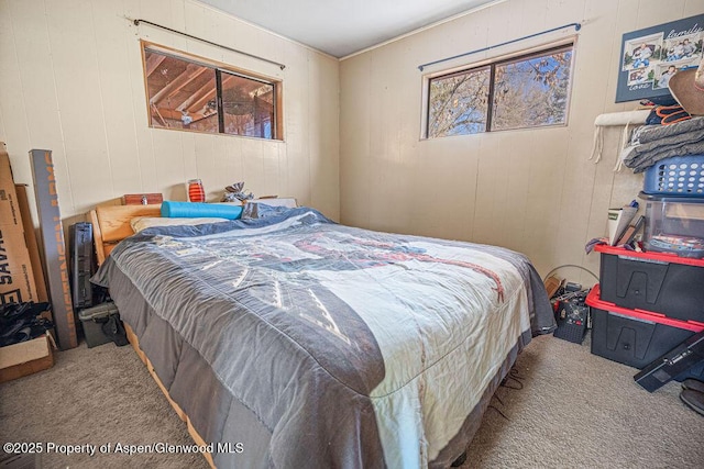 bedroom with carpet flooring