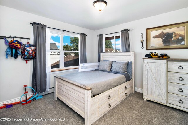 1104 Hickory Dr, Rifle, CO 81650 - photo 24