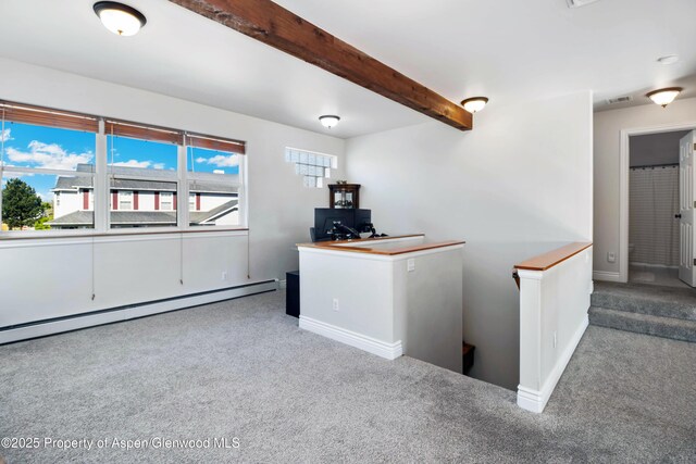 1104 Hickory Dr, Rifle, CO 81650 - photo 23