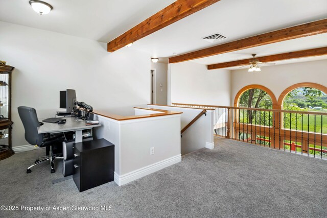 1104 Hickory Dr, Rifle, CO 81650 - photo 22