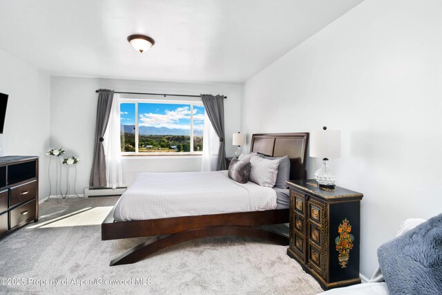 1104 Hickory Dr, Rifle, CO 81650 - photo 29
