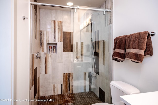 bathroom with toilet, a stall shower, and vanity