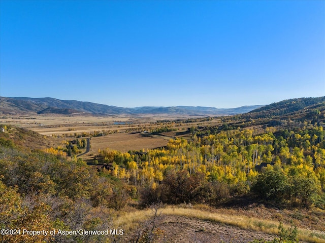 36125 Quarry Ridge Rd, Steamboat, CO 80487 - view of mountain backdrop
