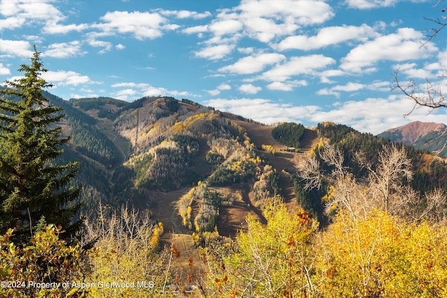 view of mountain feature