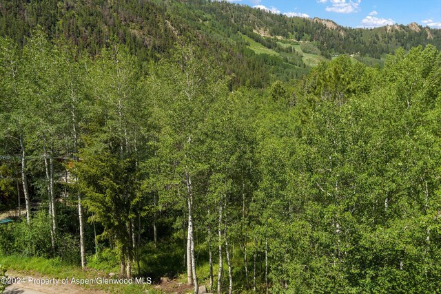 1265 Riverside Dr, Aspen, CO 81611 - photo 3