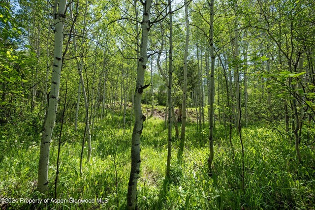 1265 Riverside Dr, Aspen, CO 81611 - photo 9