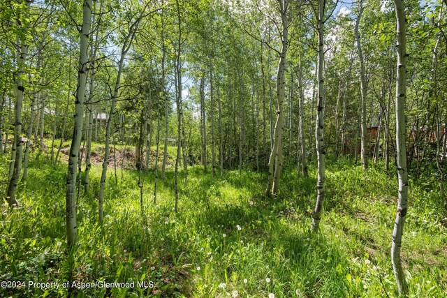 1265 Riverside Dr, Aspen, CO 81611 - photo 10