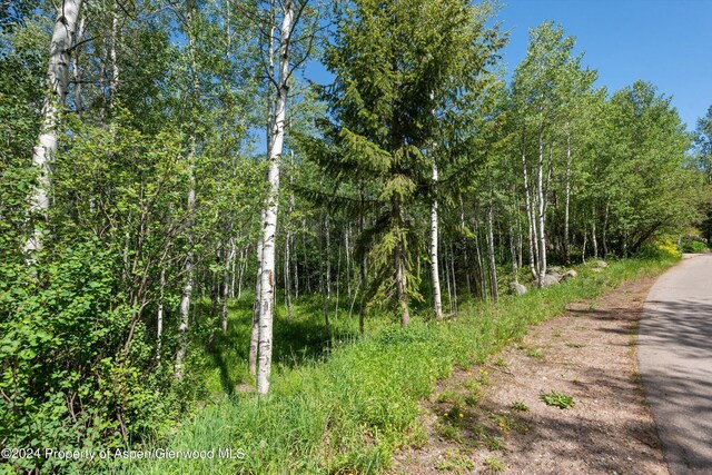 1265 Riverside Dr, Aspen, CO 81611 - photo 4