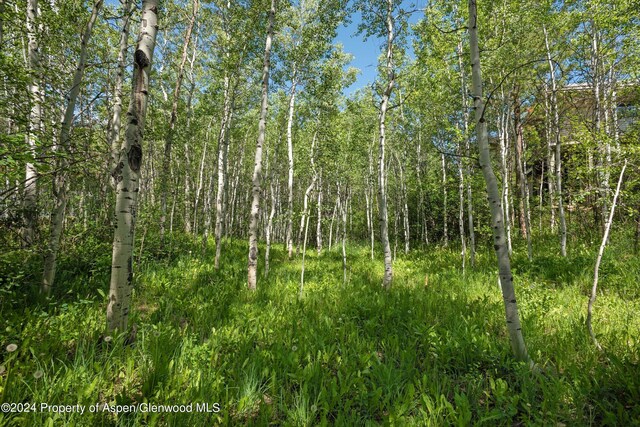 1265 Riverside Dr, Aspen, CO 81611 - photo 12