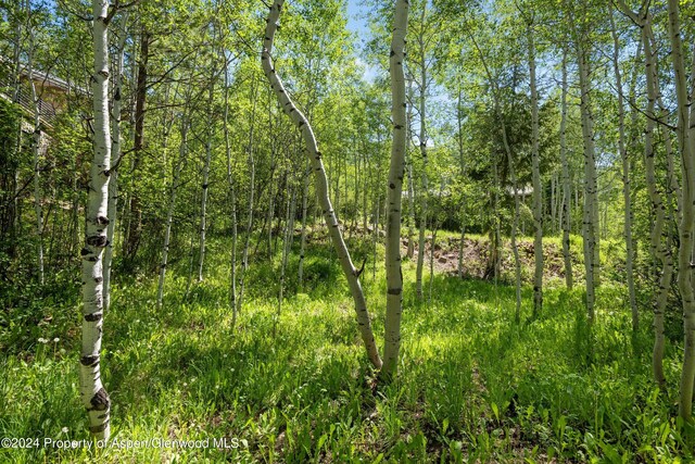 1265 Riverside Dr, Aspen, CO 81611 - photo 7