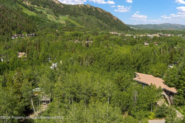 1265 Riverside Dr, Aspen, CO 81611 - photo 13