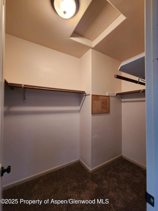 walk in closet featuring dark colored carpet