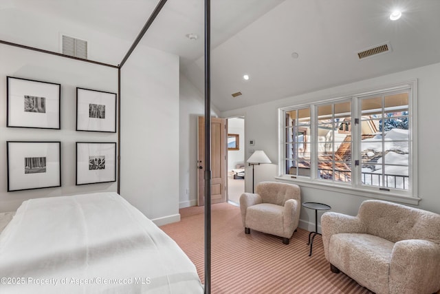 721 W N St, Aspen, CO 81611 - photo 41