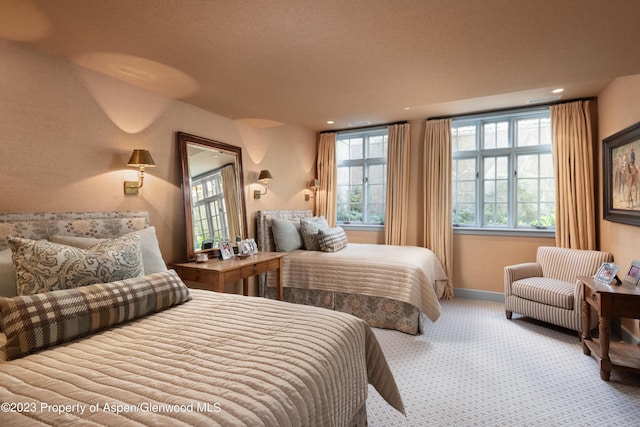 bedroom with light colored carpet