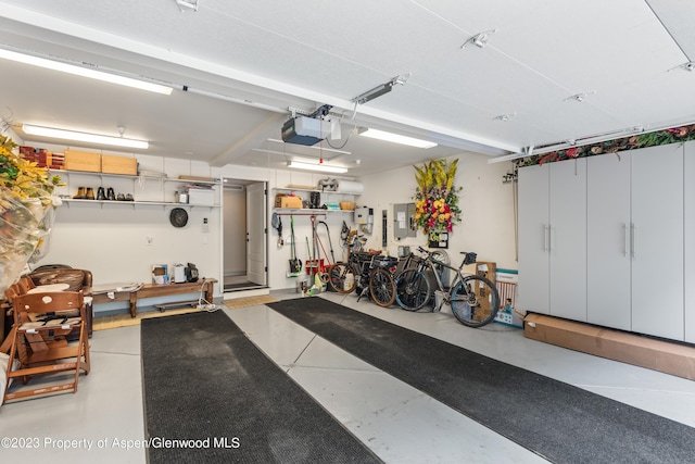 garage with electric panel and a garage door opener