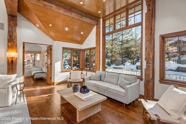 living room with dark hardwood / wood-style floors, high vaulted ceiling, a wealth of natural light, and wood ceiling