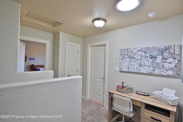 3138 Open Meadows Ct, Grand Junction, CO 81504 - photo 11