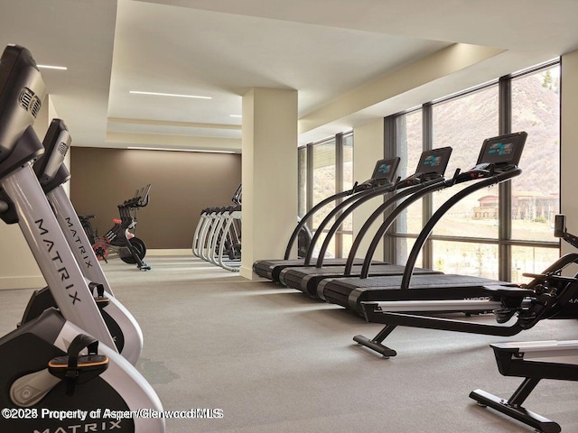 exercise room with expansive windows