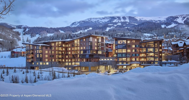 snow covered property with a mountain view