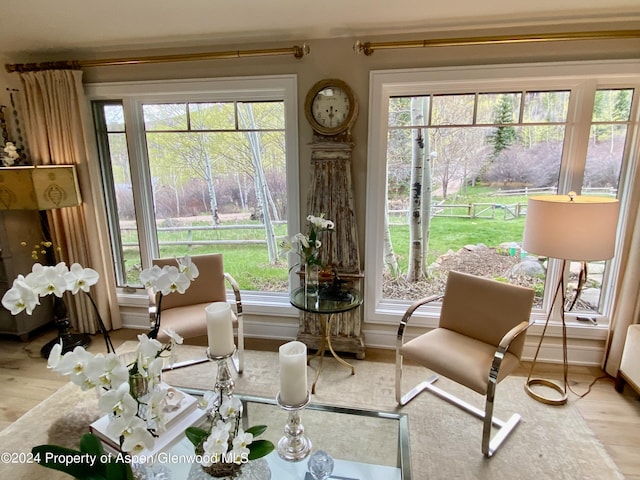 455 Sun King Dr, Glenwood Springs, CO 81601 - photo 13