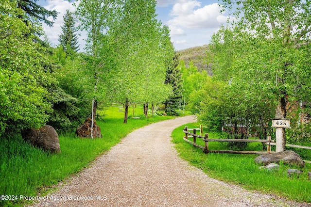 455 Sun King Dr, Glenwood Springs, CO 81601 - photo 4