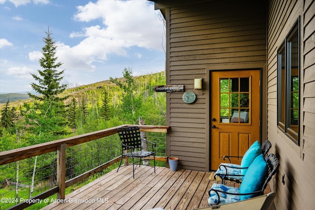 455 Sun King Dr, Glenwood Springs, CO 81601 - photo 32