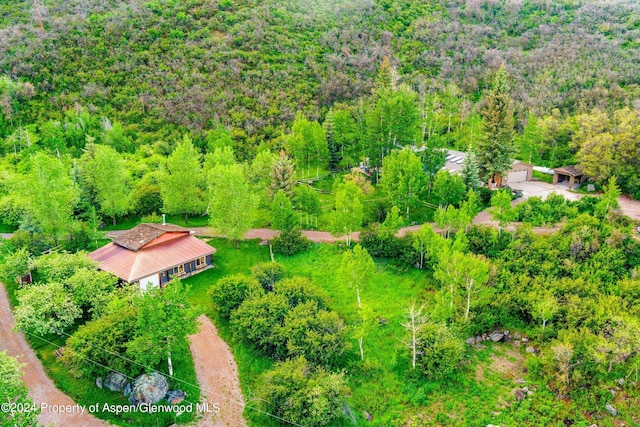 455 Sun King Dr, Glenwood Springs, CO 81601 - photo 51