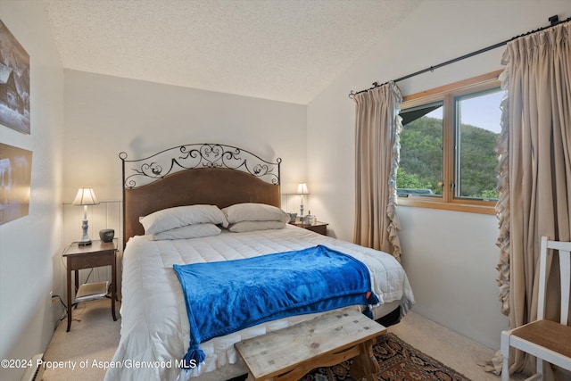 carpeted bedroom with vaulted ceiling and a textured ceiling