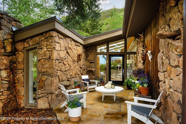 455 Sun King Dr, Glenwood Springs, CO 81601 - photo 8