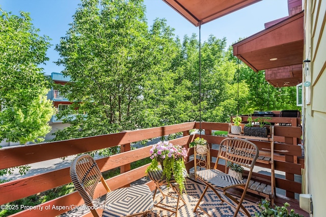 169 Village Ln, Carbondale, CO 81623 - photo 16