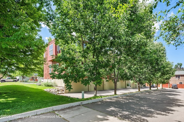 169 Village Ln, Carbondale, CO 81623 - photo 33