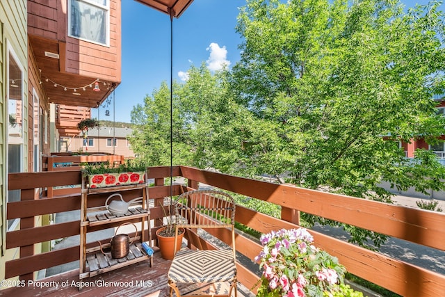 169 Village Ln, Carbondale, CO 81623 - photo 17