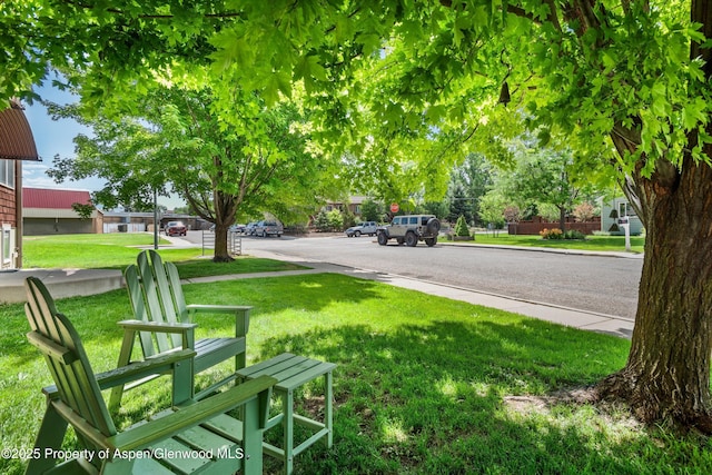 169 Village Ln, Carbondale, CO 81623 - photo 34