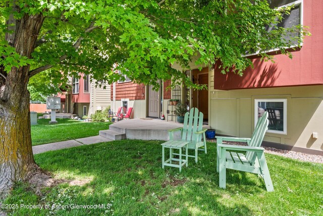 169 Village Ln, Carbondale, CO 81623 - photo 4