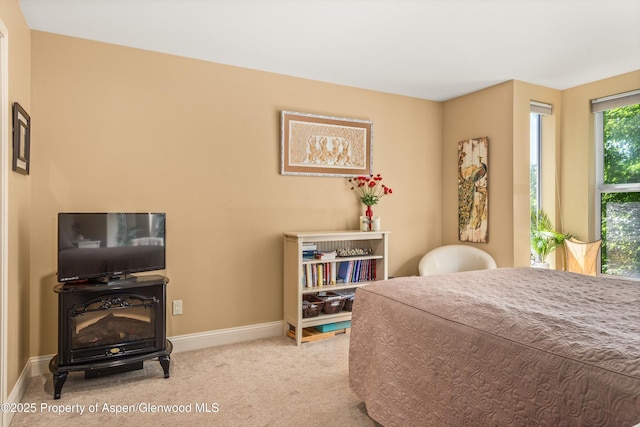 169 Village Ln, Carbondale, CO 81623 - photo 20
