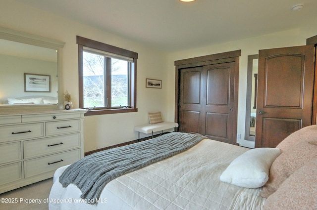 86 Sunrise Ct, Glenwood Springs, CO 81601 - bedroom with a closet and baseboards