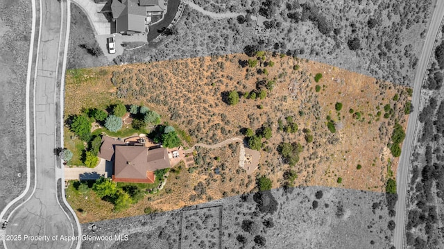 86 Sunrise Ct, Glenwood Springs, CO 81601 - bird's eye view