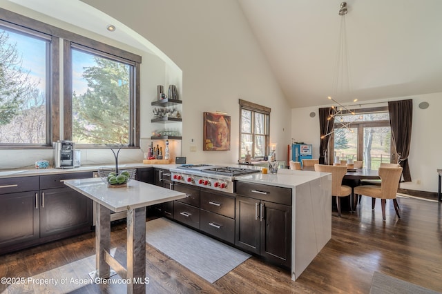 498 Red Cliff Cir, Glenwood Springs, CO 81601 - kitchen featuring dark brown cabinetry, a peninsula, dark wood-style floors, high vaulted ceiling, and stainless steel gas stovetop