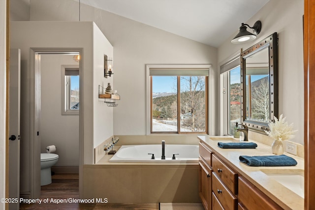 10 Laird Ln, Glenwood Springs, CO 81601 - full bath with lofted ceiling, toilet, a bath, double vanity, and wood finished floors