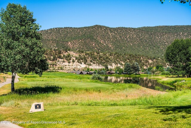 57 W Diamond A Ranch Rd, Carbondale, CO 81623