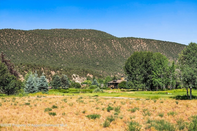 57 W Diamond A Ranch Rd, Carbondale, CO 81623