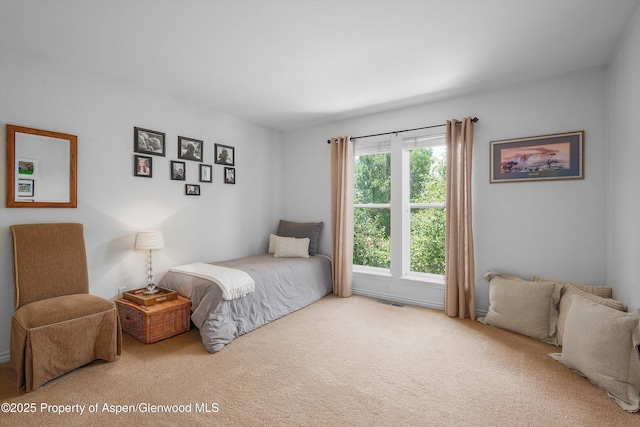 54 Ferguson Dr, Carbondale, CO 81623 - photo 31