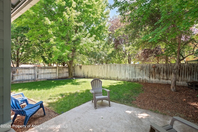 54 Ferguson Dr, Carbondale, CO 81623 - photo 25