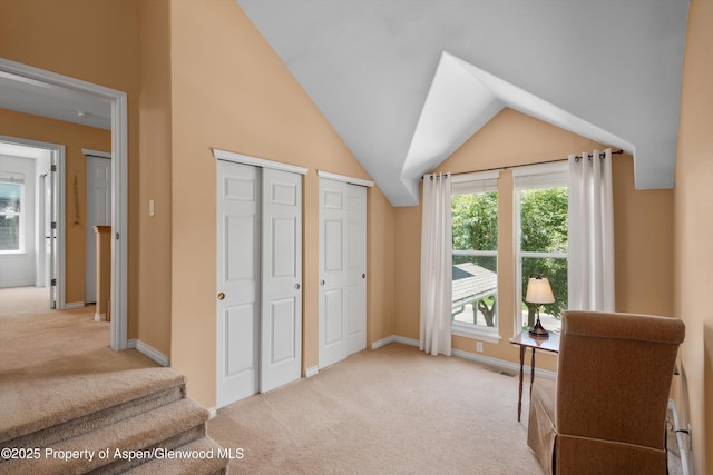 54 Ferguson Dr, Carbondale, CO 81623 - photo 40