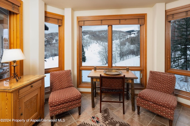 sitting room featuring a mountain view